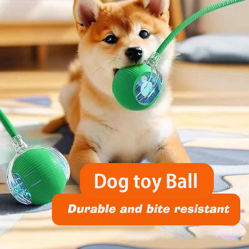 New Dog Interactive Ball Toy,Automatic Rolling Dog Ball Rechargeable