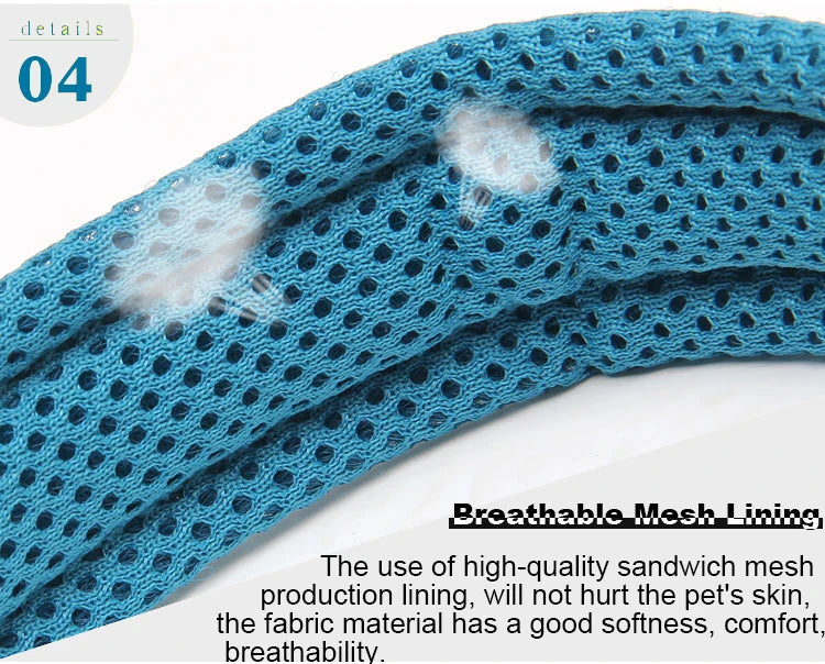 Dog Walking Collar Comfort Padded 11 Colors Size XXS-XXXL