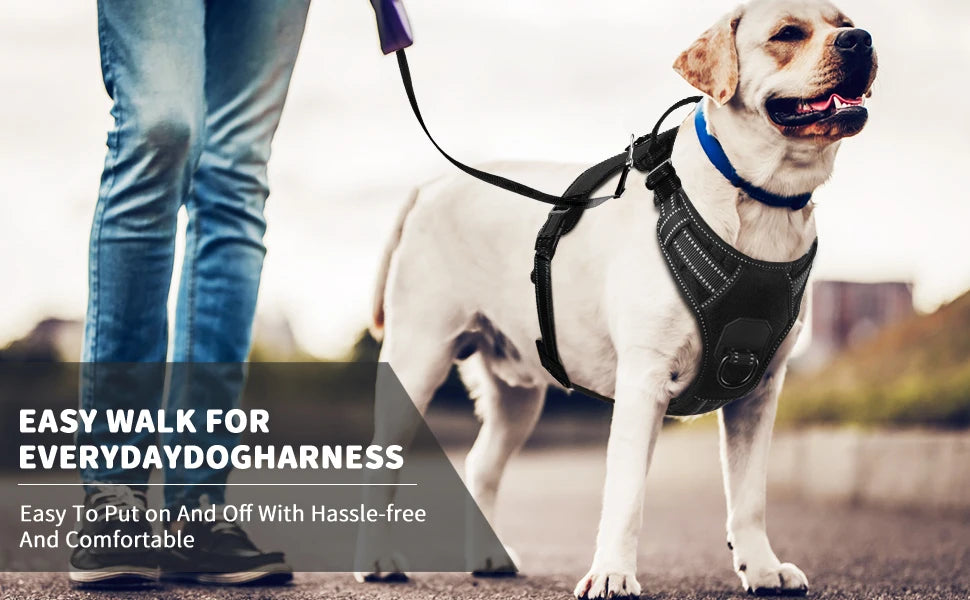 No Pull Nylon Adjustable Reflective Dog Harness