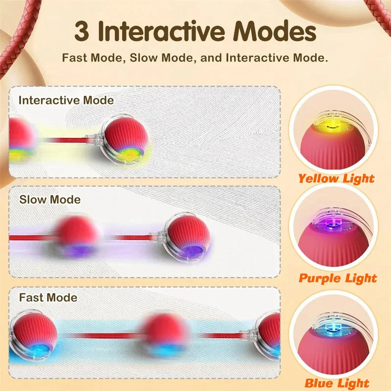 New Dog Interactive Ball Toy,Automatic Rolling Dog Ball Rechargeable