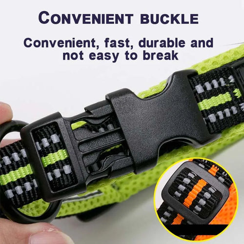 Dog Walking Collar Comfort Padded 11 Colors Size XXS-XXXL