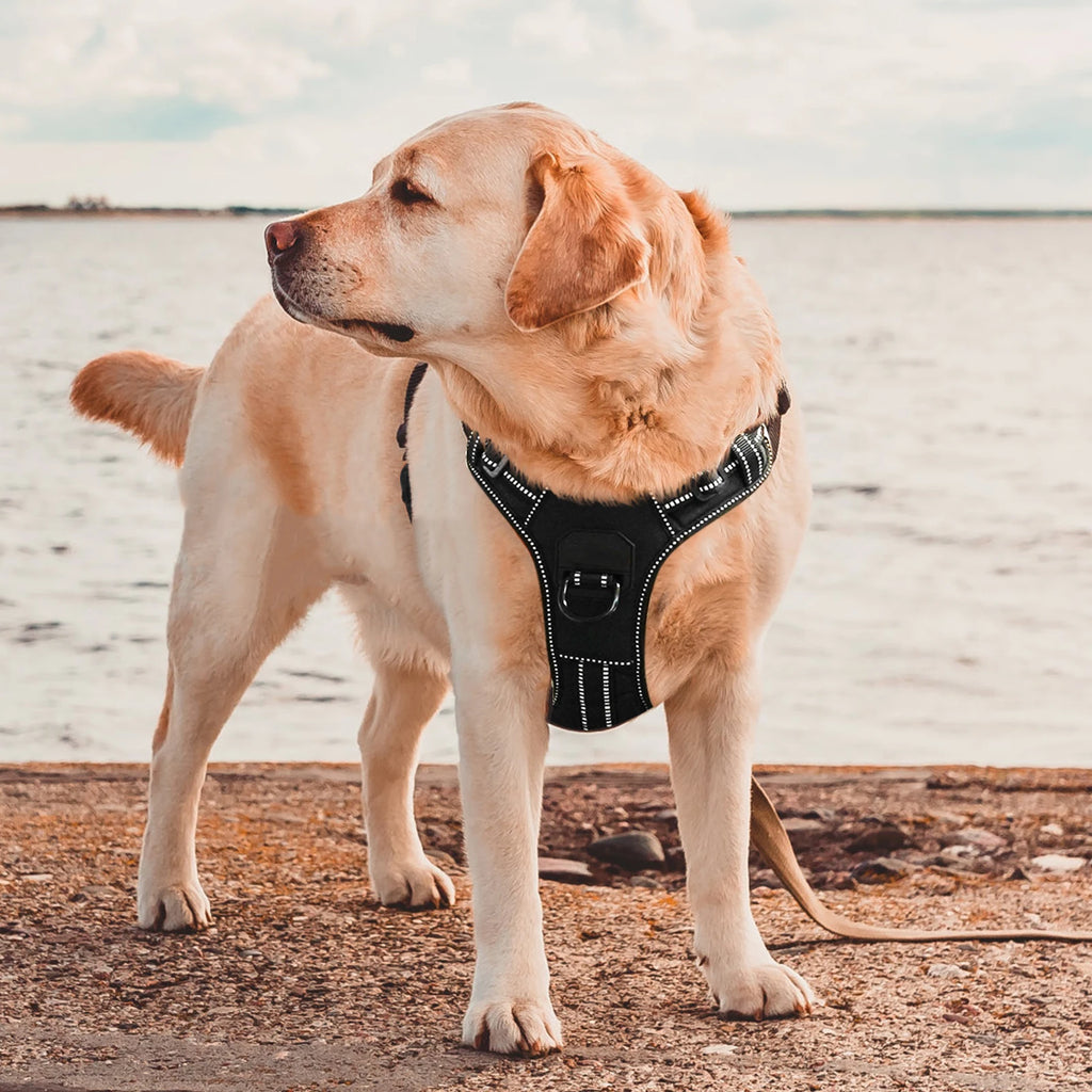 No Pull Nylon Adjustable Reflective Dog Harness