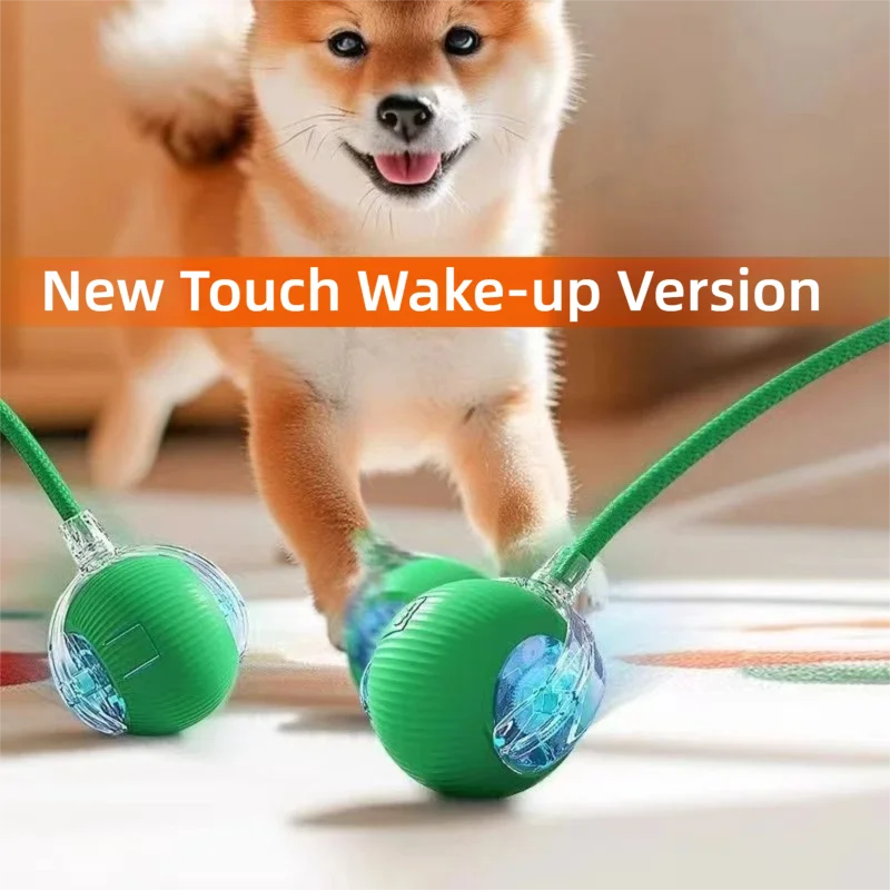 New Dog Interactive Ball Toy,Automatic Rolling Dog Ball Rechargeable