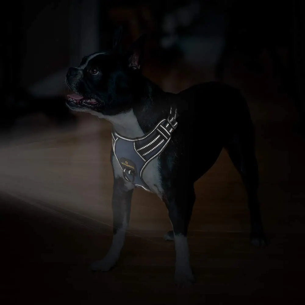 No Pull Nylon Adjustable Reflective Dog Harness