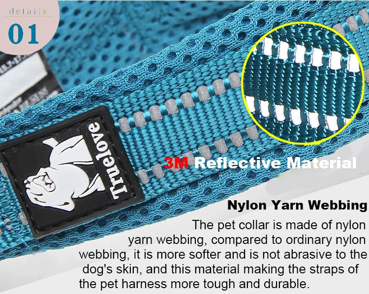 Dog Walking Collar Comfort Padded 11 Colors Size XXS-XXXL