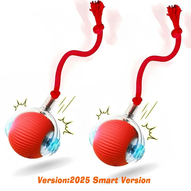 New Dog Interactive Ball Toy,Automatic Rolling Dog Ball Rechargeable